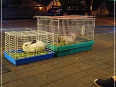 -大象厨房(重庆道店)