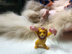 -立德动物医院·24小时中心(番禺区院区)