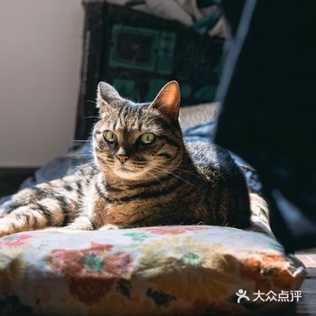 今天报名的主人很有爱，小家伙运气好  我叫马修