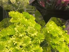 -豆豆花艺(新光天地店)