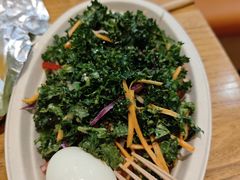 -油梨树 AVOCADO TREE(亮马桥店)