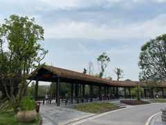 -枫香湖儿童公园