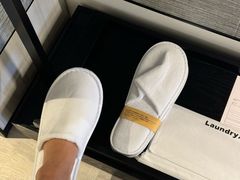 -新加坡乌节希尔顿酒店 (SG Clean)