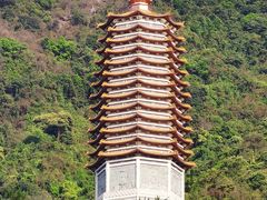 -深圳仙湖植物园