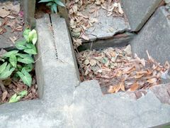 android_upload_pic-南沙天后宫景区