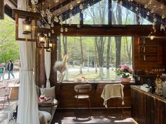 -长白岛森林公园