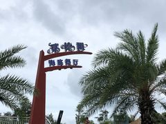 -瑞德姆美人鱼海底演艺主题餐厅(亚龙湾店)