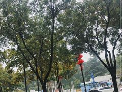 -西安交通大学(雁塔校区)