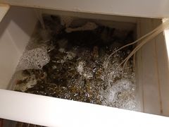 -小小河边鱼(天润城店)
