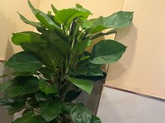 -鼎好家常菜(天桥店)