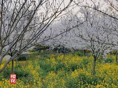 -古柏渡飞黄旅游区