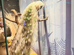 -陕西自然博物馆