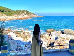 -广东惠东海龟国家级自然保护区