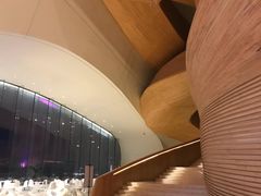 -哈尔滨大剧院
