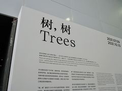 -上海当代艺术博物馆