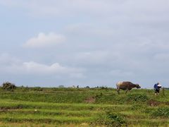 -贵州云顶草原民族风情园