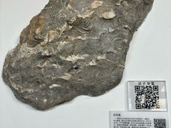 -中国第四纪冰川遗迹陈列馆