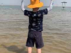 -碧海金沙