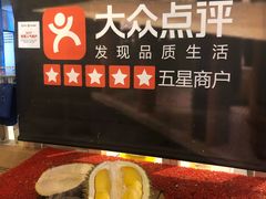 -都念榴莲·城市榴莲