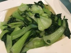 清炒小油菜-向阳屯食村