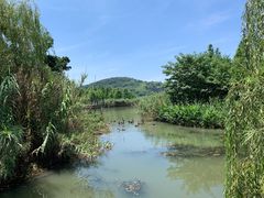 -西山漾湿地公园