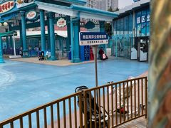 -海合安成都极地海洋公园