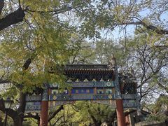 -北京国子监胡同