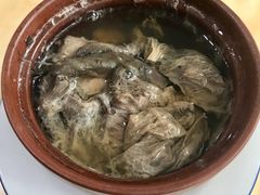 川贝枇杷叶炖猪胎盘-华哥新鲜猪精品美食