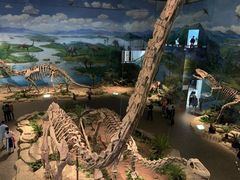 -自贡恐龙博物馆