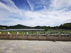 -顺峰山公园