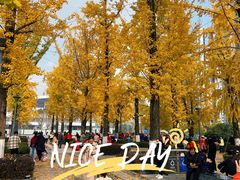 -百林公园-两江幸福广场