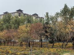 -咸阳湖景区-古渡公园