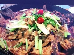 -老板恋上鱼(恒隆广场店)