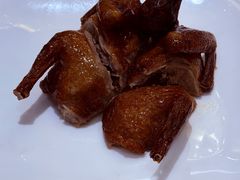 -锦粤宫·精致粤菜(深圳北站店)
