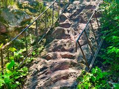 -云岫谷游猎自然风景区