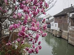 -山塘街