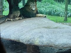 -北京野生动物园