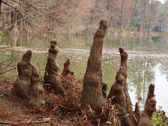 -华南国家植物园-售票处