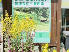 -元鼎宝驴香·全驴宴(江宁店)
