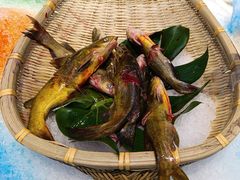 -川骄海鲜自助(河东店)