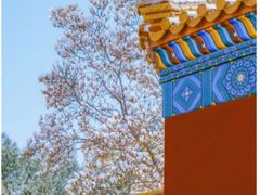 -国家图书馆·古籍馆