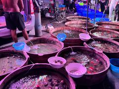 -中环花鸟鱼虫市场