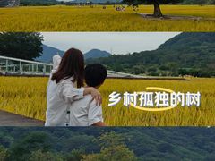 -风云岭森林公园