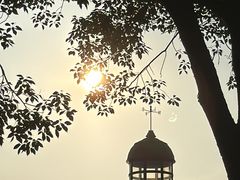-金海湾滨江公园