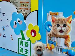 -帕帕拉兹宠物(亚洲旗舰店)