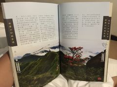 -姑婆山森林酒店