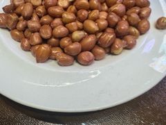 -纯肴大东北(新城北街店)