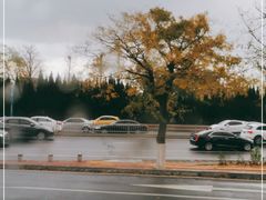 -ChanDu躔度咖啡(灯塔店)