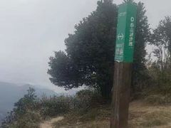 -梧桐山风景名胜区