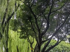 -温江公园